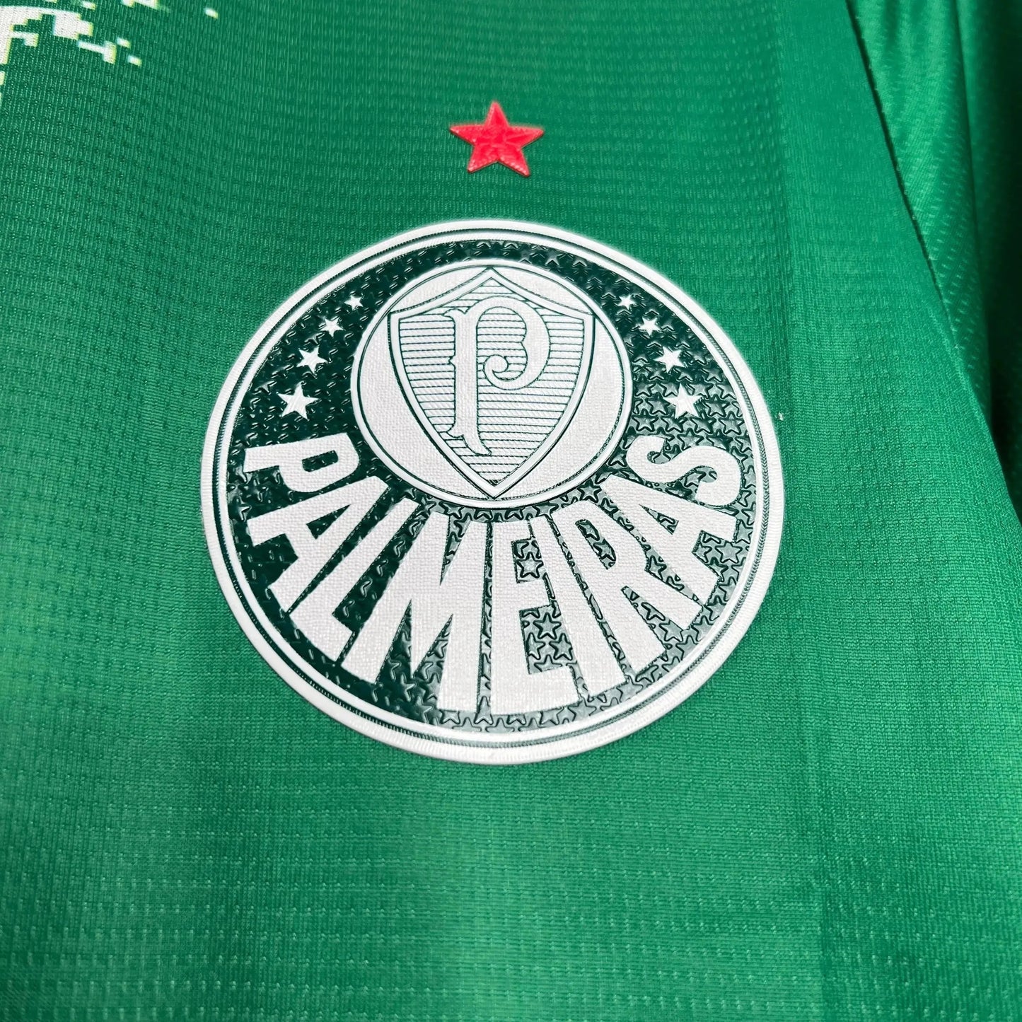 Palmeiras Environmental Edition Shirt 24/25 - Men's Fan Shirt Green Manhcada