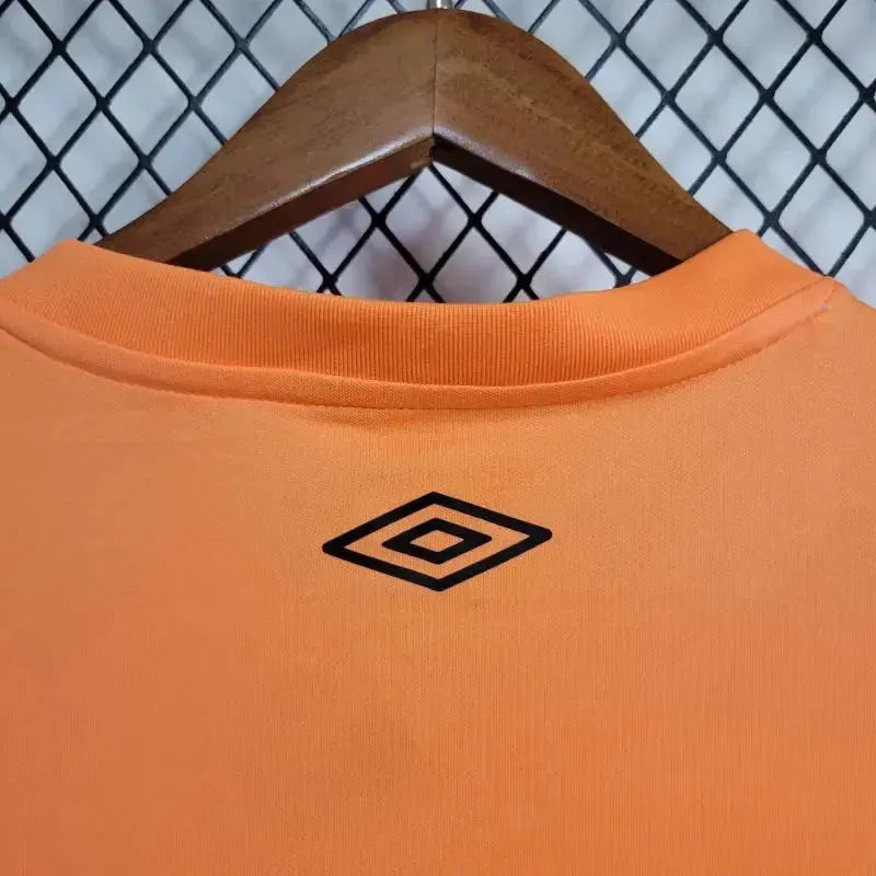 Fluminense Training Shirt 24/25 - Men's Fan Orange