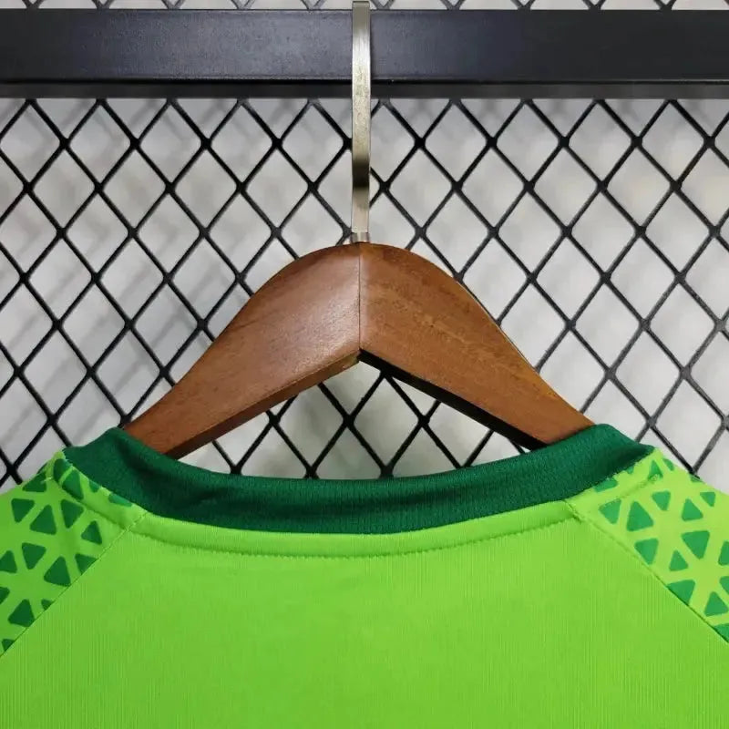 Palmeiras Training Shirt 24/25 - Men's Green Fan Shirt