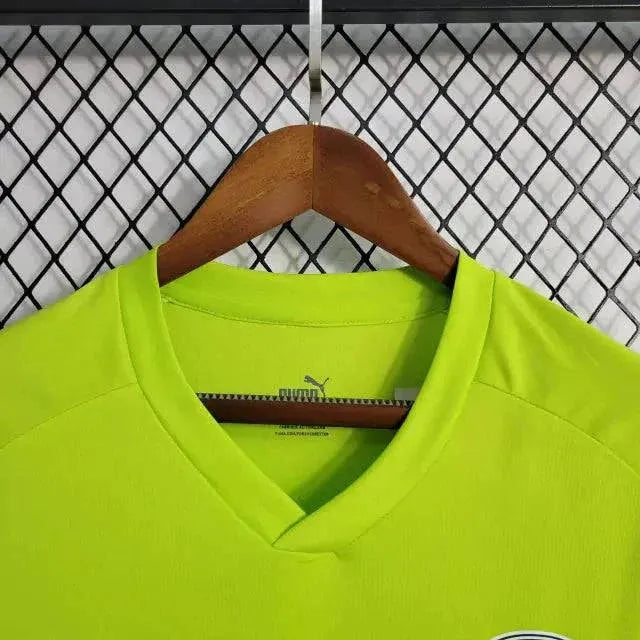 Palmeiras Training Shirt 23/24 - Men's Green Fan Shirt