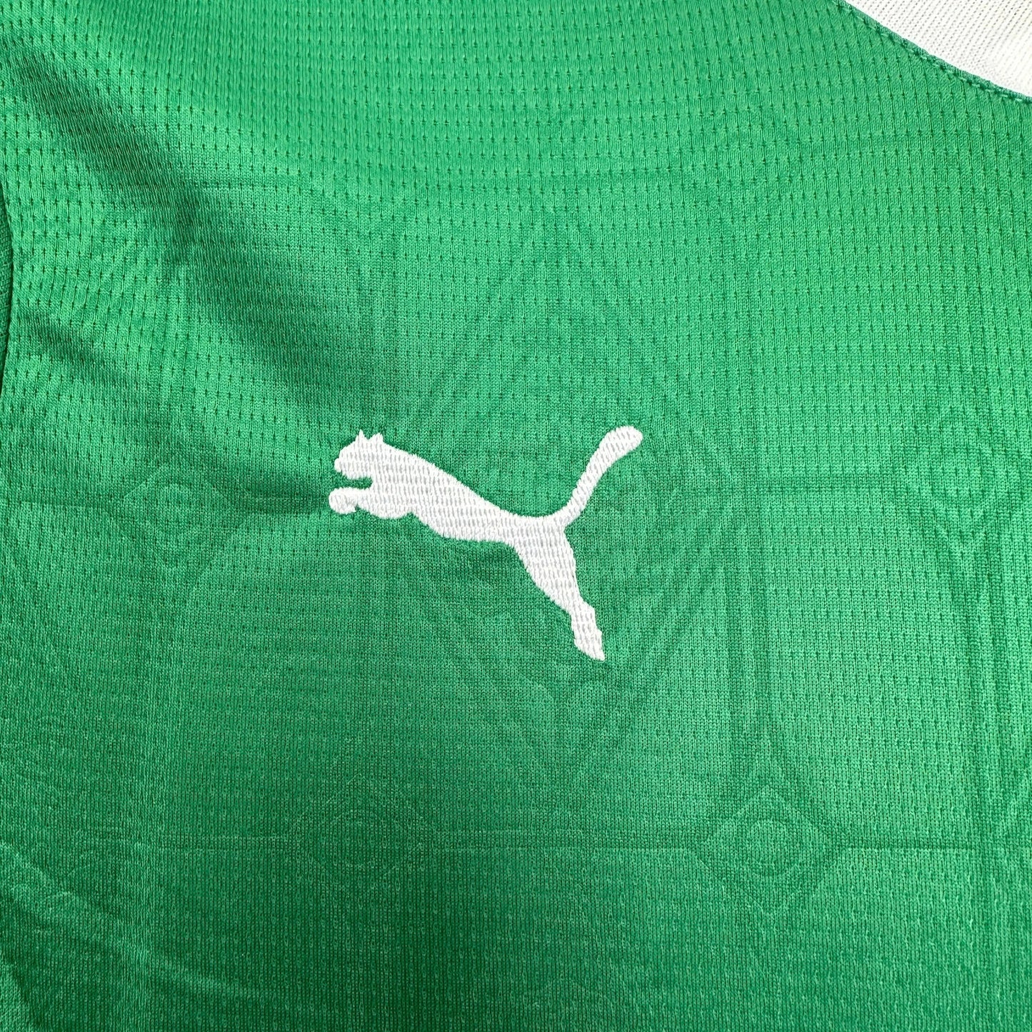 Palmeiras Home Shirt 25/26 - Green Children's Fan Shirt