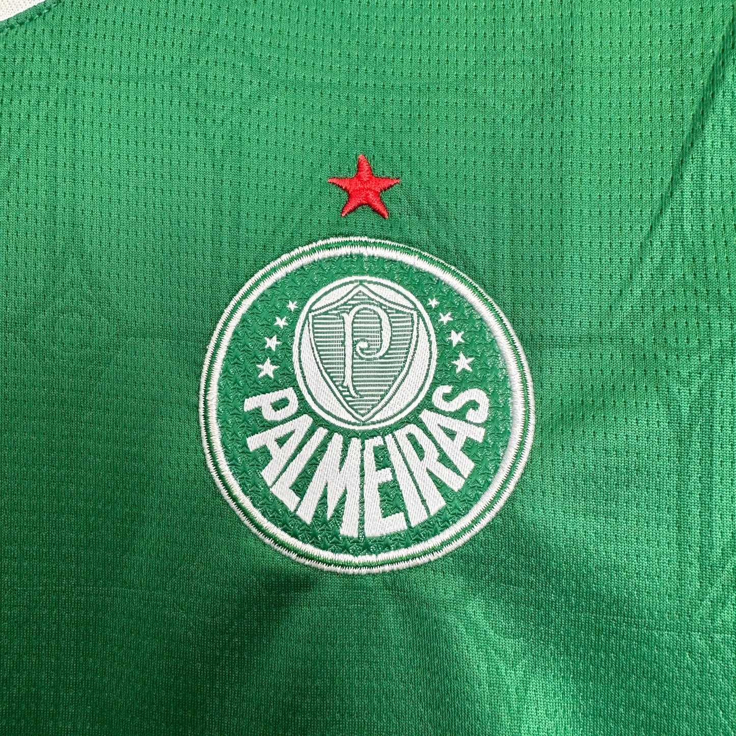 Palmeiras Home Shirt 25/26 - Green Children's Fan Shirt