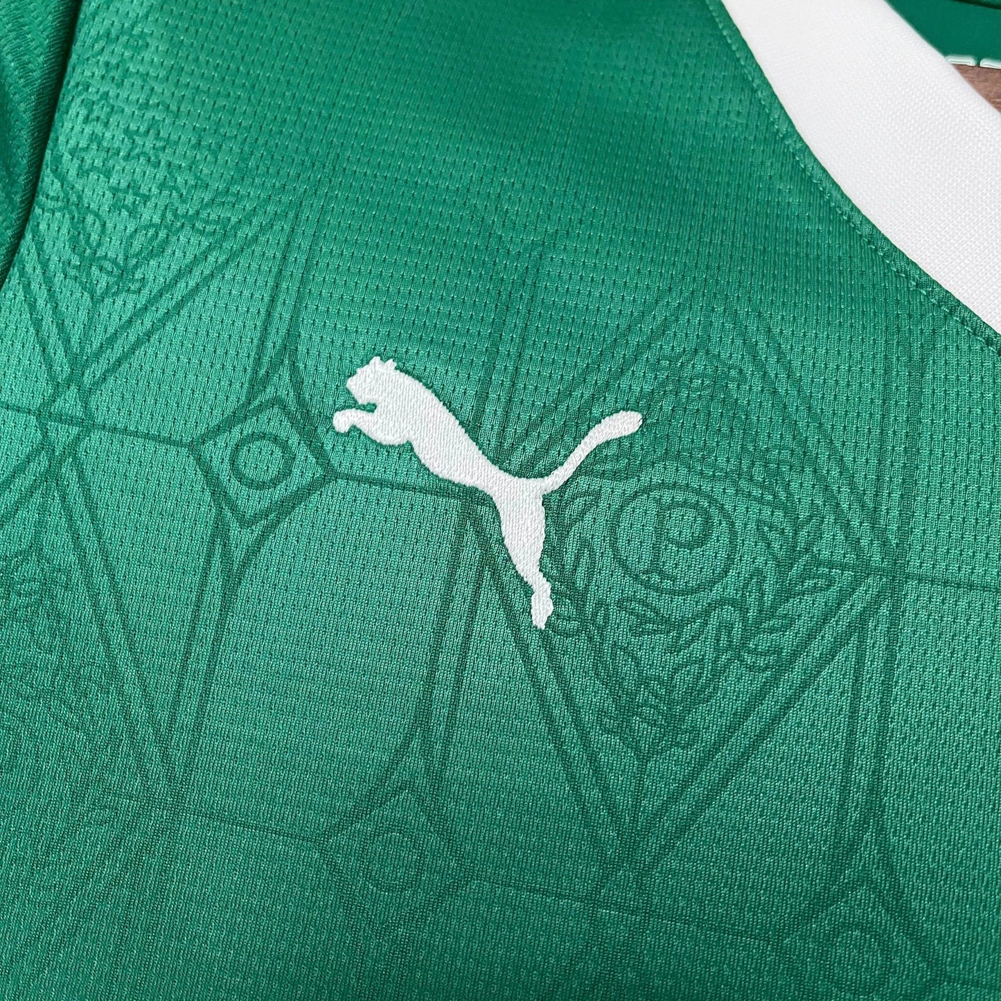 Palmeiras Home Shirt 25/26 - Women's Green Fan Shirt