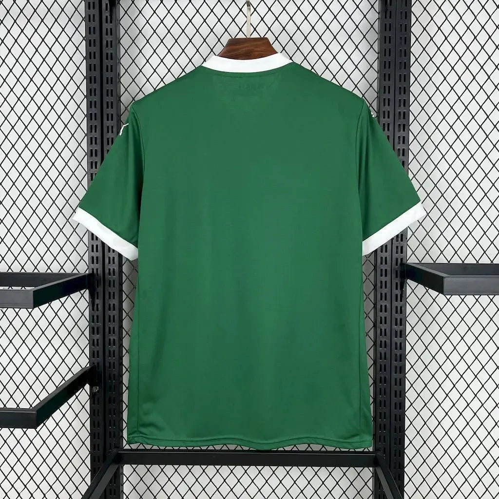 Palmeiras Home Shirt 25/26 - Men's Green Fan Shirt + Sponsorships