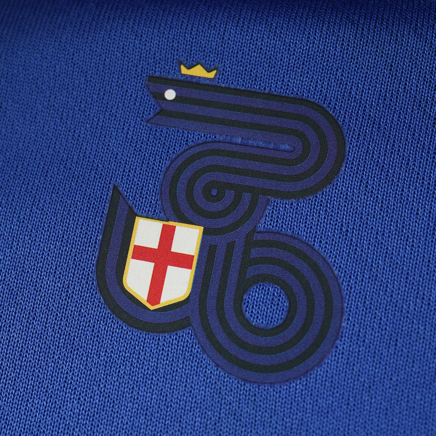 Inter Milan Home 24/25 Shirt - Men's Fan Shirt - Black and Blue