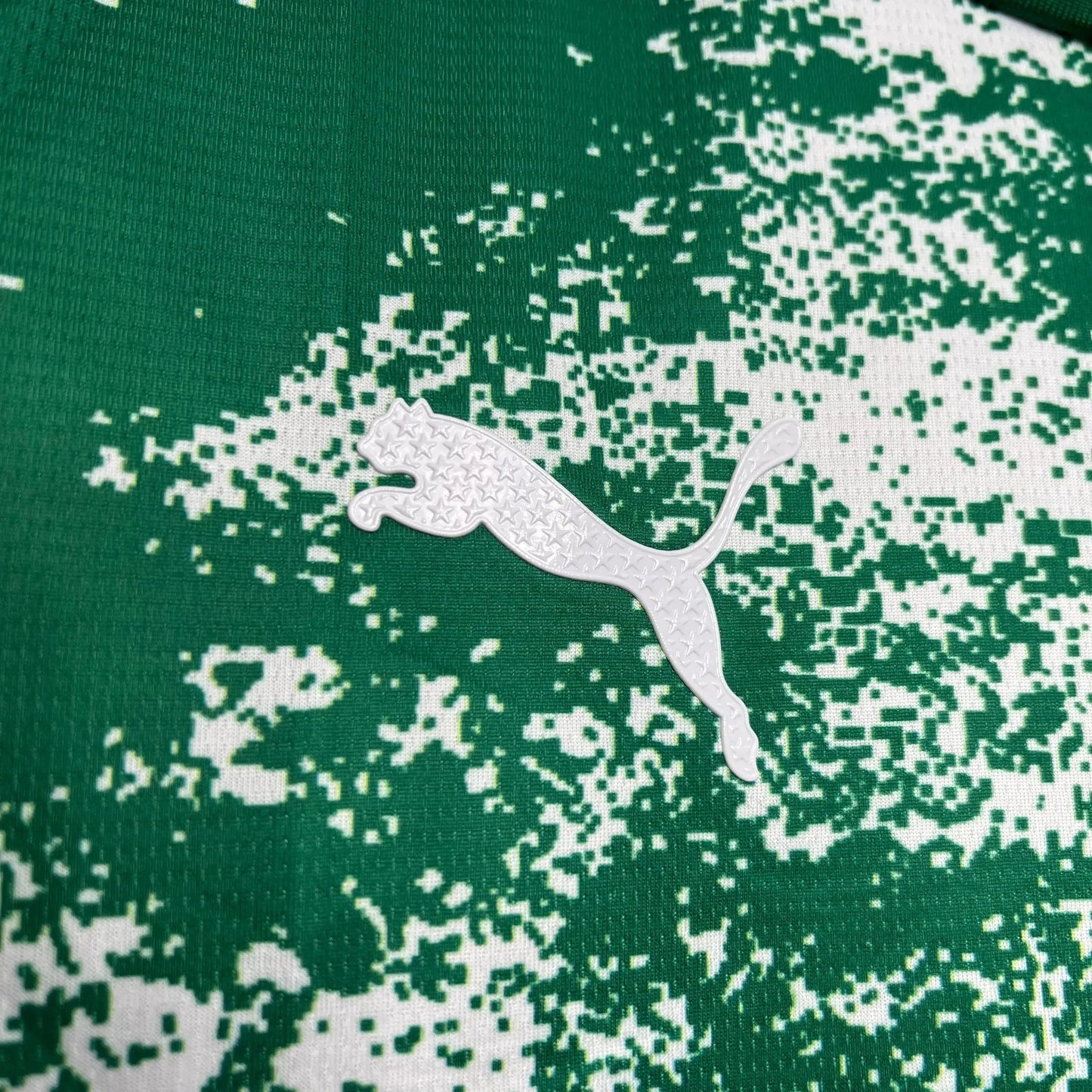Palmeiras Environmental Edition 24/25 Shirt - Men's White Fan Shirt
