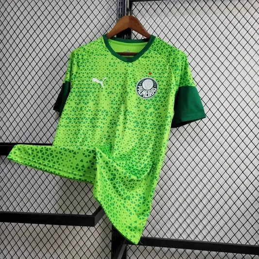 Palmeiras Training Shirt 24/25 - Men's Green Fan Shirt