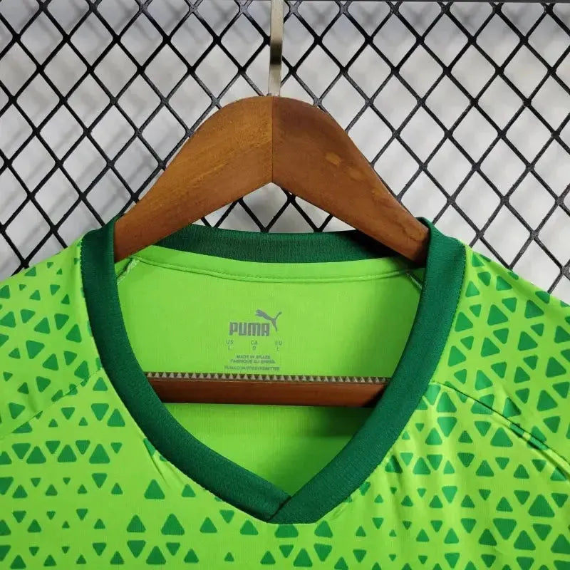 Palmeiras Training Shirt 24/25 - Men's Green Fan Shirt