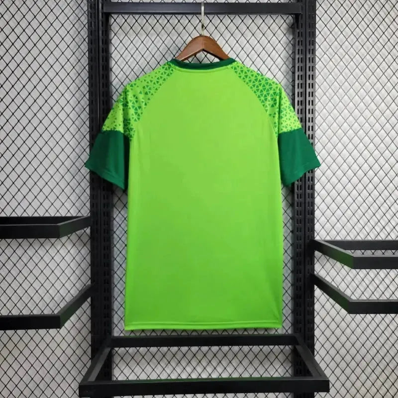 Palmeiras Training Shirt 24/25 - Men's Green Fan Shirt