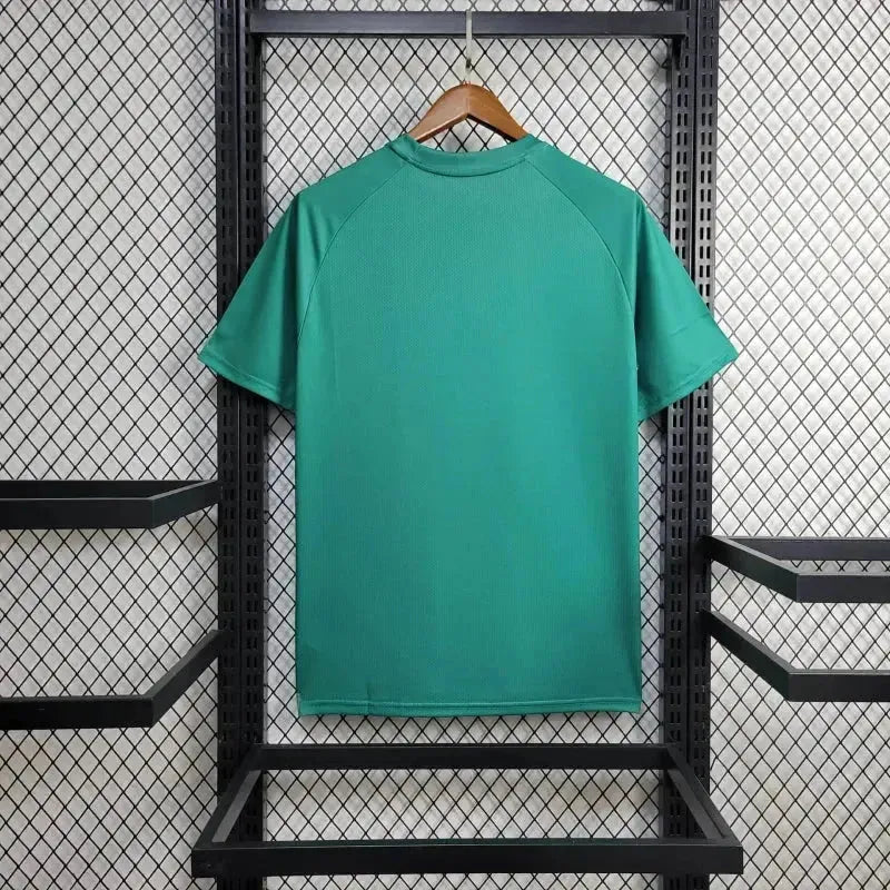 Palmeiras Training Shirt 24/25 - Men's Green Fan Shirt