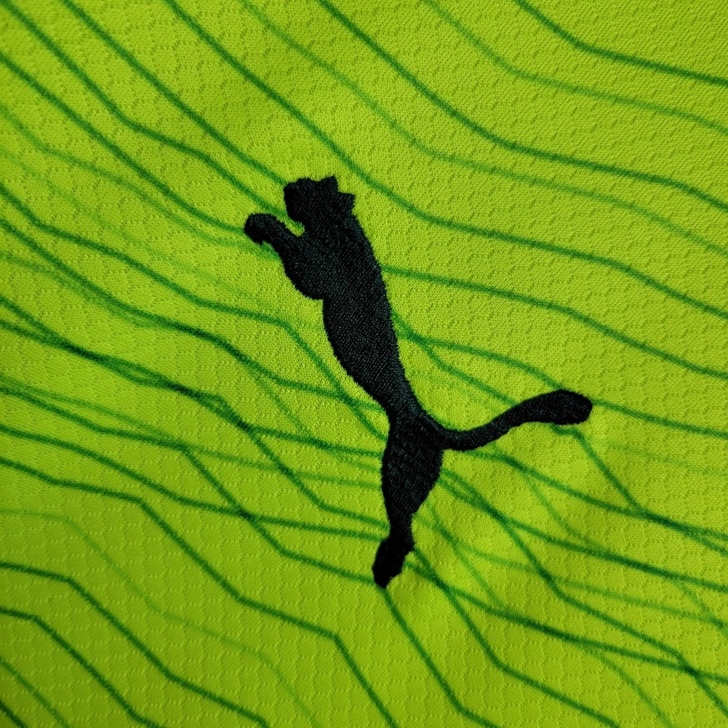 Palmeiras Away II Shirt 23/24 - Men's Green Fan Shirt