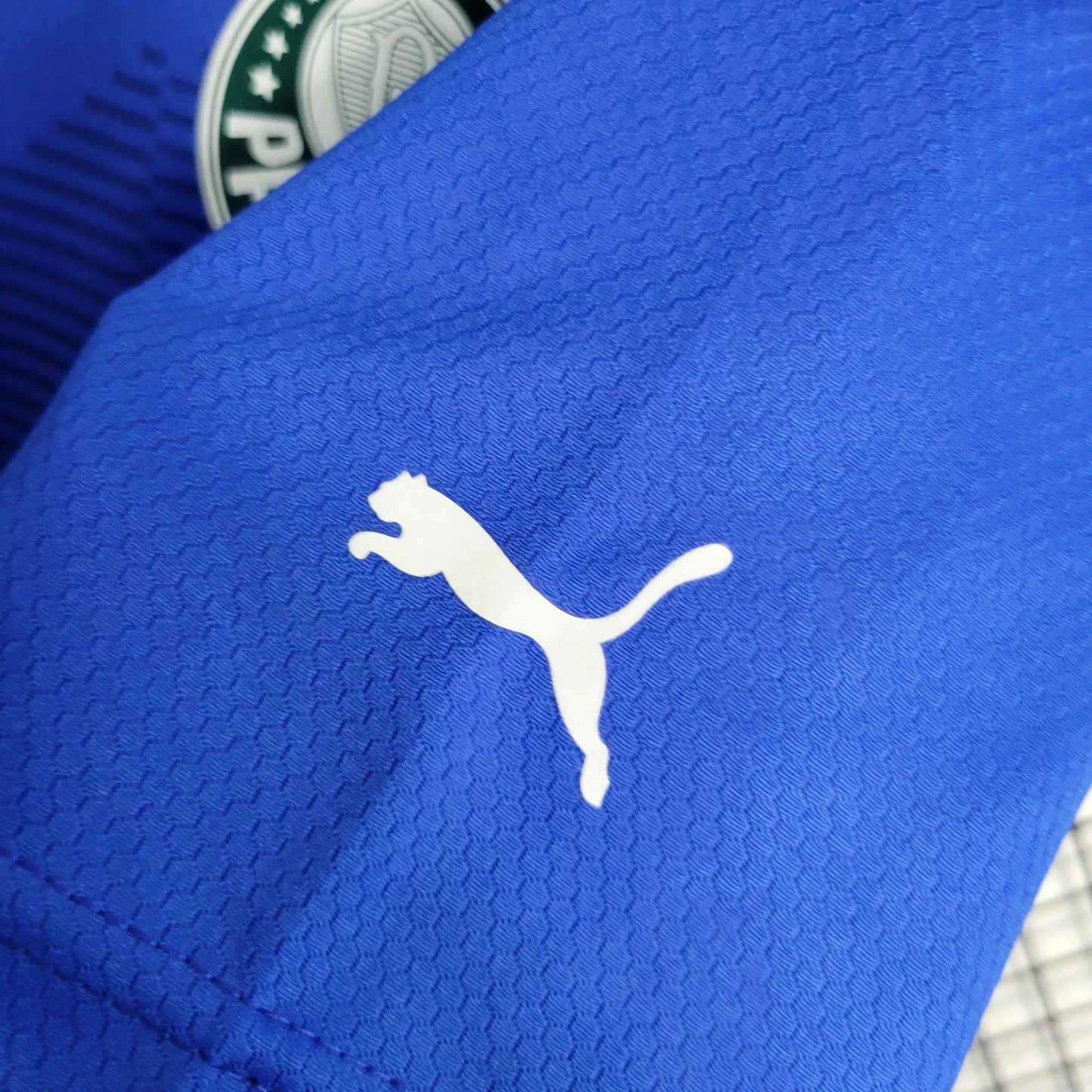 Palmeiras Goalkeeper Shirt 23/24 - Men's Fan Blue