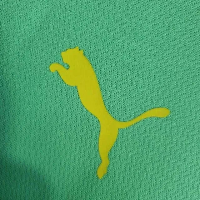 Palmeiras II Away Shirt 22/23 - Men's Green Fan Shirt