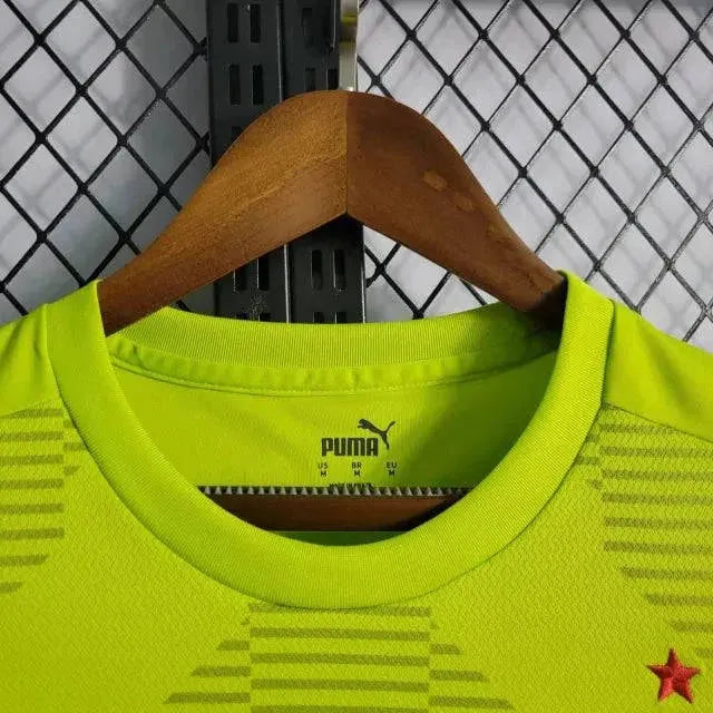 Palmeiras Goalkeeper Shirt 22/23 - Men's Green Fan Shirt