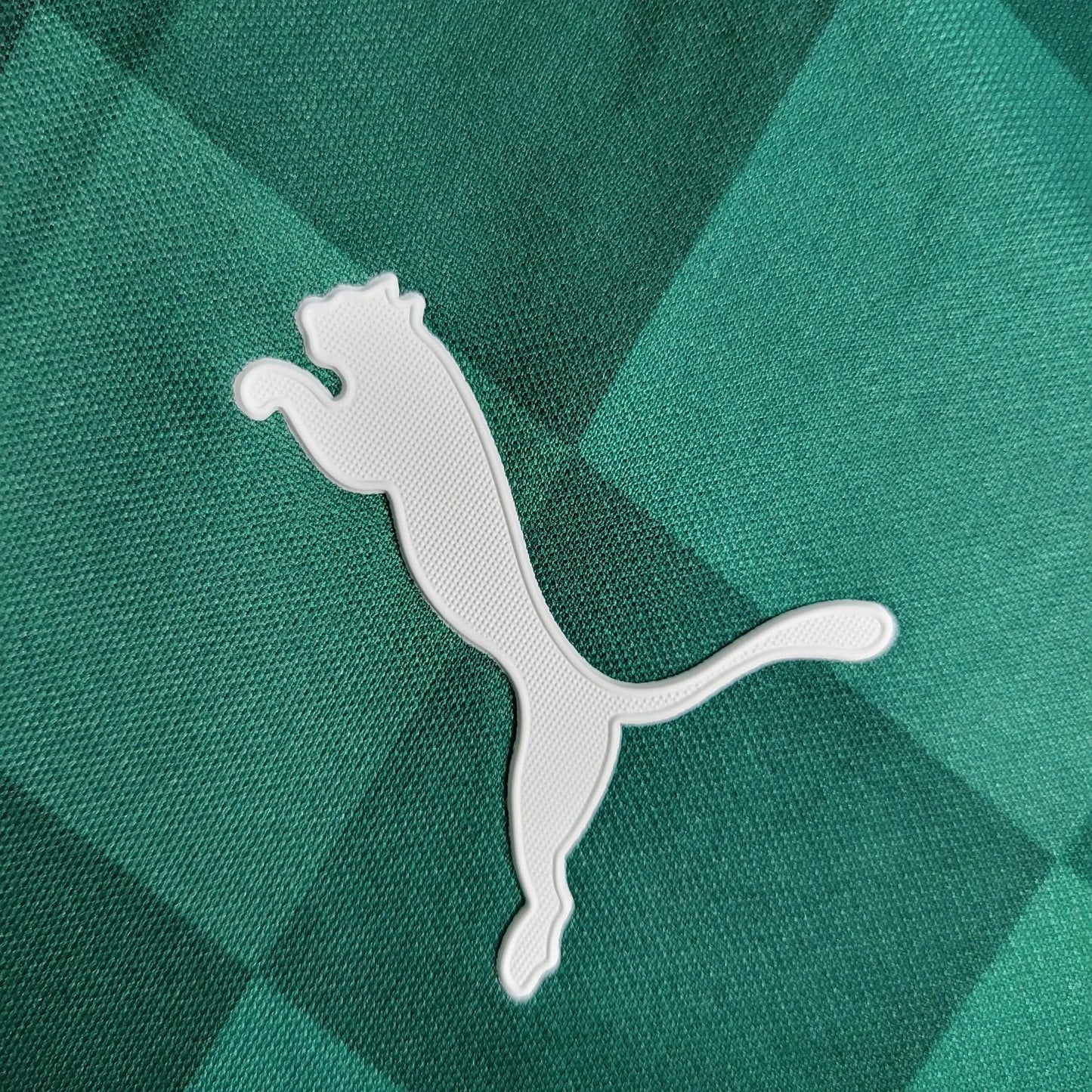 Palmeiras Home Shirt 21/22 - Men's Fan Shirt