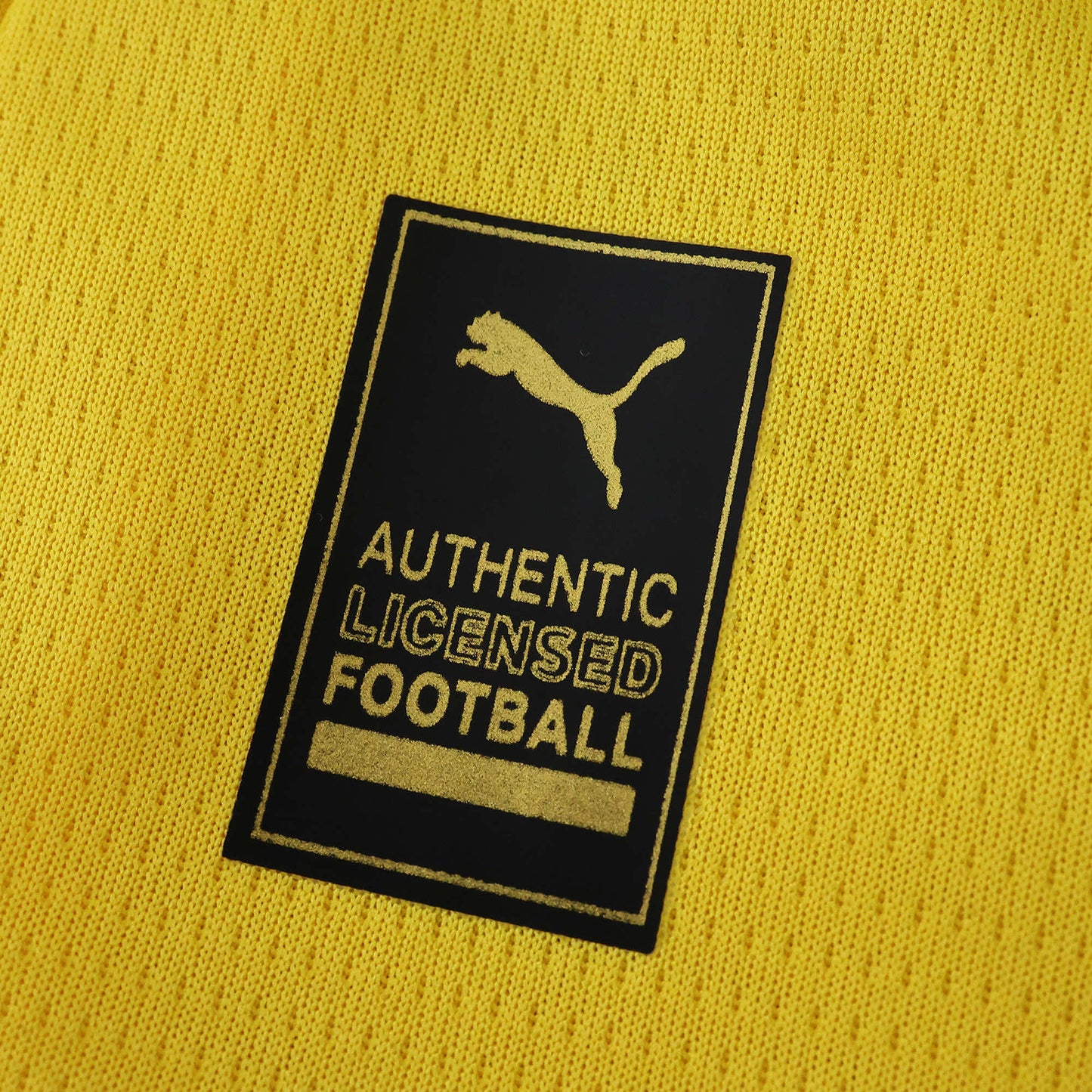 Borussia Dortmund Home Shirt 25/26 - Men's Fan Shirt Yellow